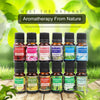Natural Plant Essential Oils Diffusers