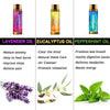 Peppermint Aromatherapy Essential Oil Pure