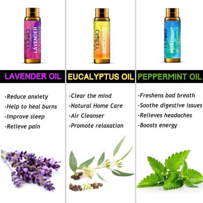 Peppermint Aromatherapy Essential Oil Pure