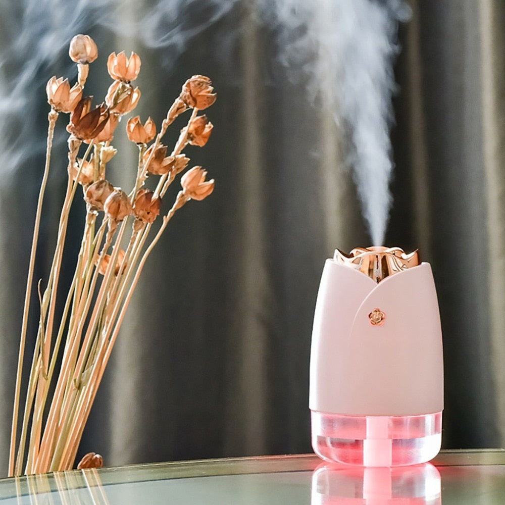 Home Appliances USB Humidifier Diffuser